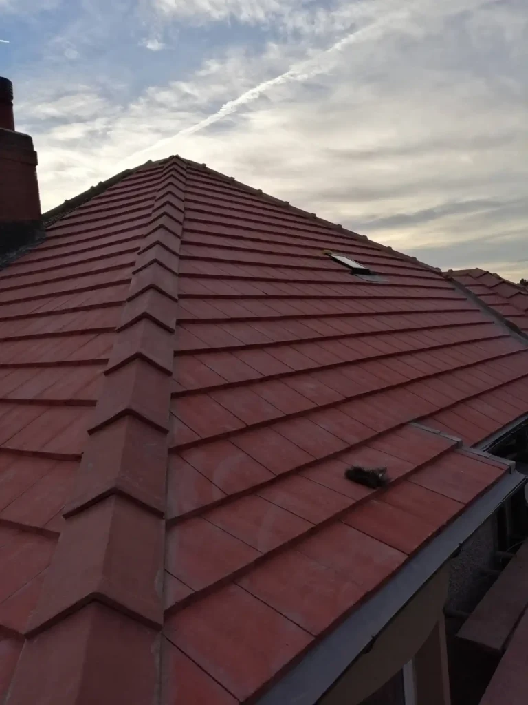 Builders & Roofers